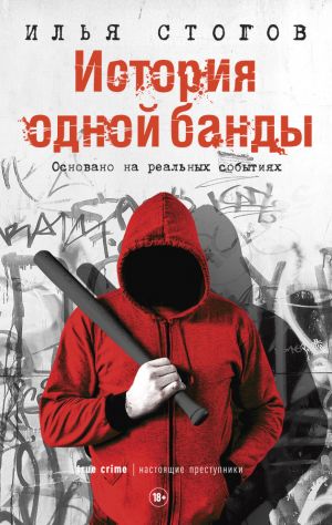 обложка книги История одной банды автора Илья Стогов