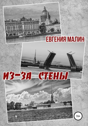 обложка книги Из-за стены автора Евгения Малин