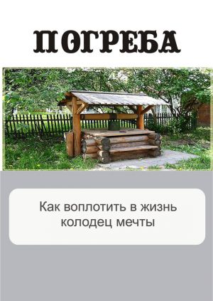 обложка книги Как воплотить в жизнь колодец мечты автора Илья Мельников