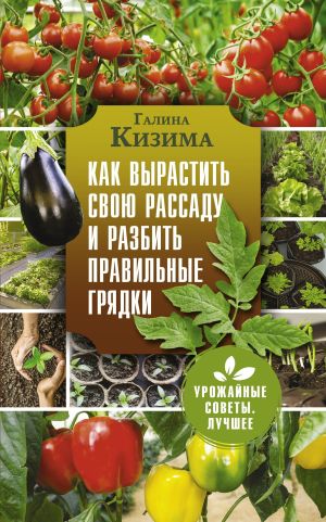 обложка книги Как вырастить свою рассаду и разбить правильные грядки автора Галина Кизима