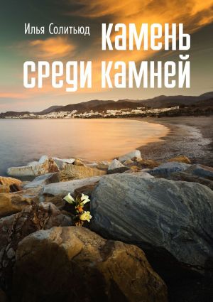 обложка книги Камень среди камней автора Илья Солитьюд