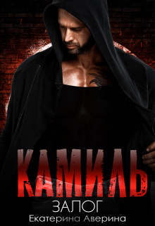 обложка книги Камиль. Залог автора Екатерина Аверина