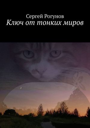обложка книги Ключ от тонких миров автора Сергей Рогунов