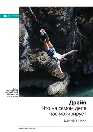 обложка книги Ключевые идеи книги: Драйв. Что на самом деле нас мотивирует. Дэниел Пинк автора М. Иванов