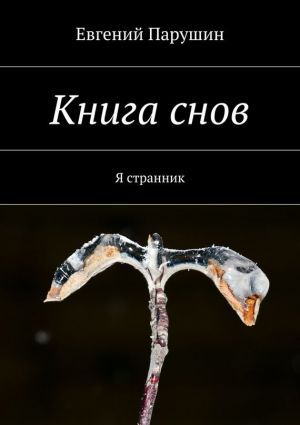 обложка книги Книга снов автора Евгений Парушин