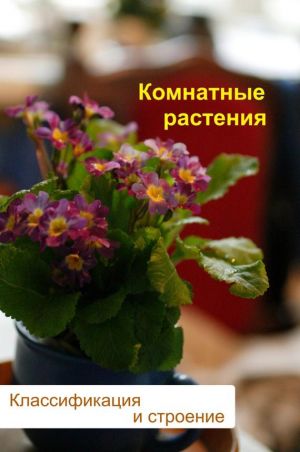 обложка книги Комнатные растения. Классификация и строение автора Илья Мельников