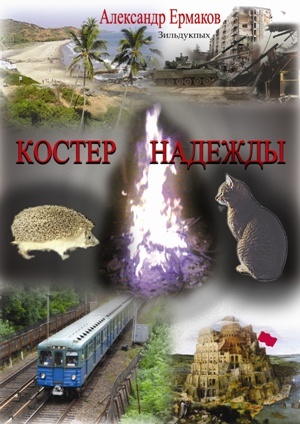 обложка книги Костер надежды автора Александр Ермаков Зильдукпых