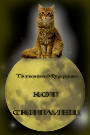 обложка книги Кот-Скиталец автора Татьяна Мудрая