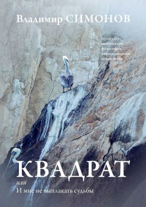 обложка книги Квадрат, или И мне не выплакать судьбы автора Владимир Симонов