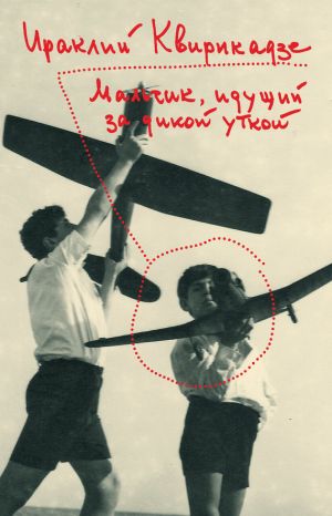 обложка книги Мальчик, идущий за дикой уткой автора Ираклий Квирикадзе