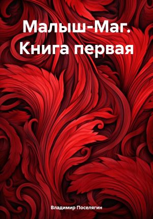 обложка книги Малыш-Маг. Книга первая автора Владимир Поселягин