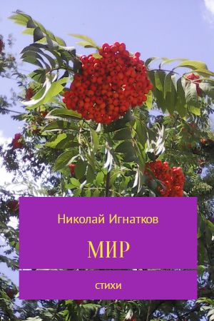 обложка книги Мир автора Николай Игнатков