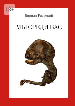 обложка книги Мы среди вас автора Кирилл Раевский