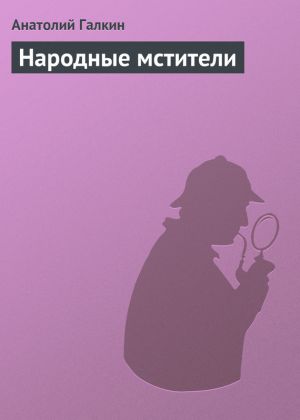 обложка книги Народные мстители автора Анатолий Галкин