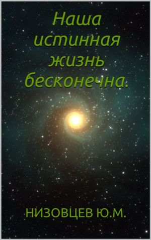 обложка книги Наша истинная жизнь бесконечна автора Юрий Низовцев