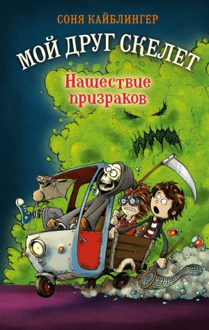 обложка книги Нашествие призраков автора Соня Кайблингер