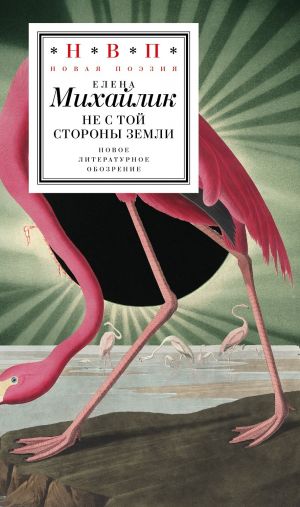 обложка книги Не с той стороны земли автора Елена Михайлик