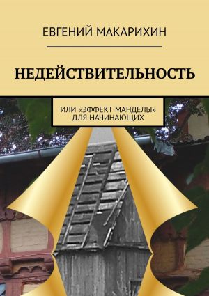 обложка книги Недействительность. Или «эффект Манделы» для начинающих автора Евгений Макарихин