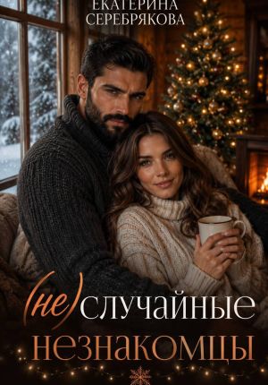 обложка книги (Не)случайные незнакомцы автора Екатерина Серебрякова