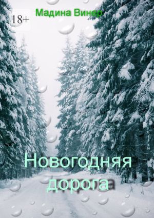 обложка книги Новогодняя дорога автора Мадина Винер