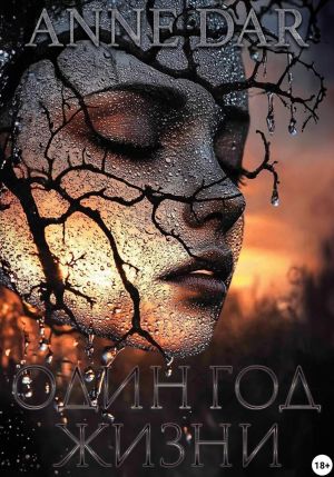 обложка книги Один год жизни автора Anne Dar