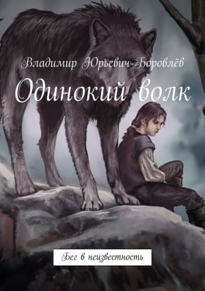 обложка книги Одинокий волк. Бег в неизвестность автора Владимир Боровлёв