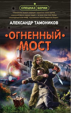 обложка книги Огненный мост автора Александр Тамоников