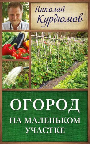 обложка книги Огород на маленьком участке автора Николай Курдюмов