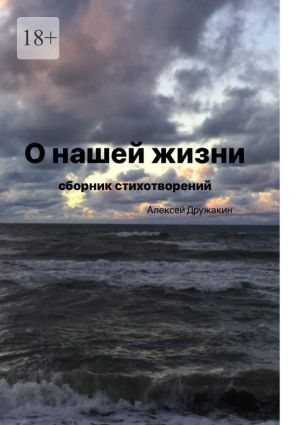 обложка книги О нашей жизни автора Алексей Дружакин
