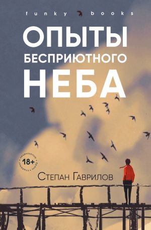 обложка книги Опыты бесприютного неба автора Степан Гаврилов