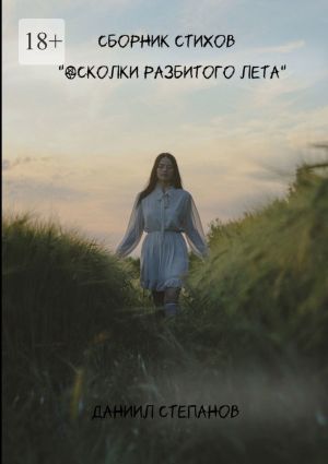 обложка книги Осколки разбитого лета автора Владимир Дробовский