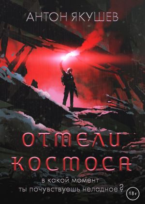 обложка книги Отмели космоса автора Антон Якушев