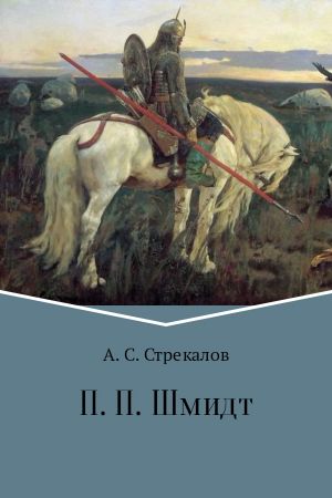 обложка книги П. П. Шмидт автора Александр Стрекалов