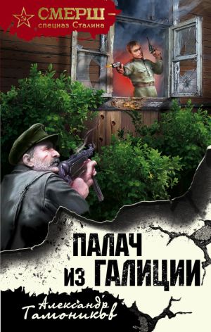 обложка книги Палач из Галиции автора Александр Тамоников