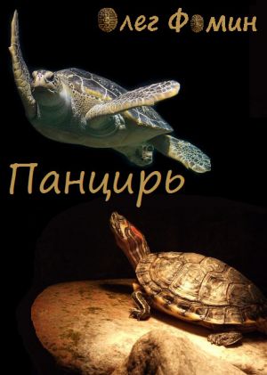 обложка книги Панцирь автора Олег Фомин