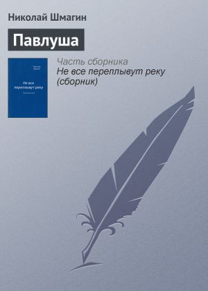 обложка книги Павлуша автора Николай Шмагин