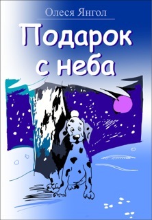 обложка книги Подарок с неба автора Олеся Янгол