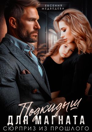 обложка книги Подкидыш для Магната. Сюрприз из прошлого автора Евсения Медведева