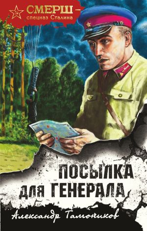 обложка книги Посылка для генерала автора Александр Тамоников