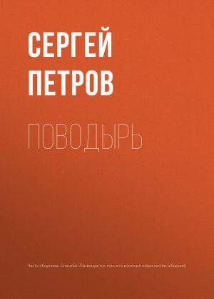 обложка книги Поводырь автора Сергей Петров