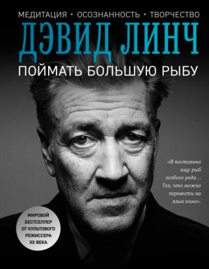 обложка книги Поймать большую рыбу. Медитация, осознанность, творчество автора Дэвид Линч