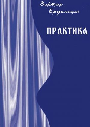 обложка книги Практика автора Виктор Брусницин