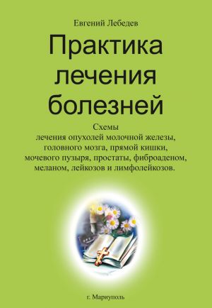 обложка книги Практика лечения болезней автора Евгений Лебедев