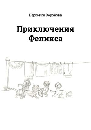 обложка книги Приключения Феликса автора Вероника Воронова