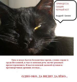 обложка книги Принцесса, сыщик и черный кот автора Андрей Бинев