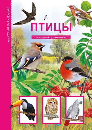 обложка книги Птицы автора Юлия Дунаева