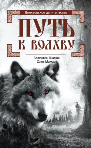 обложка книги Путь к волхву автора Валентин Гнатюк