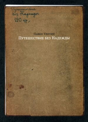 обложка книги Путешествие без Надежды автора Павел Улитин