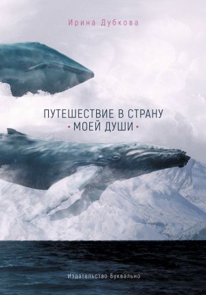 обложка книги Путешествие в страну моей души автора Ирина Дубкова