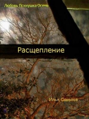 обложка книги Расщепление автора Илья Соколов